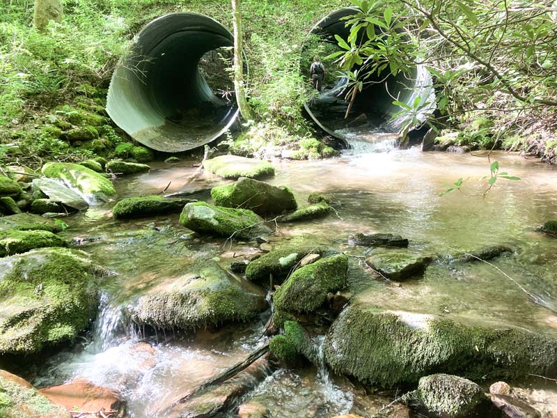 An image of the Wolf Creek culverts