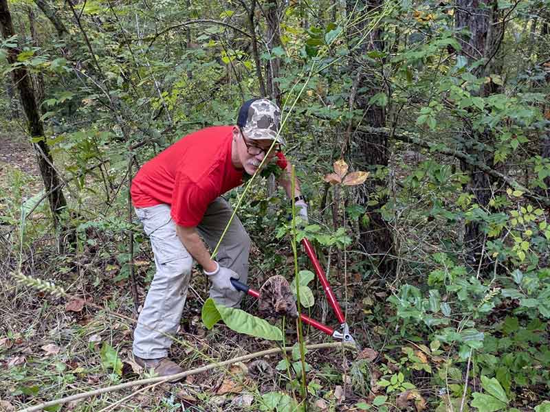 Volunteers trim vegetation on public lands