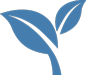 Health Benefits Icon