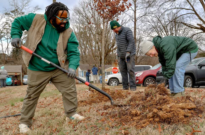 Three male volunteers planting a tree
