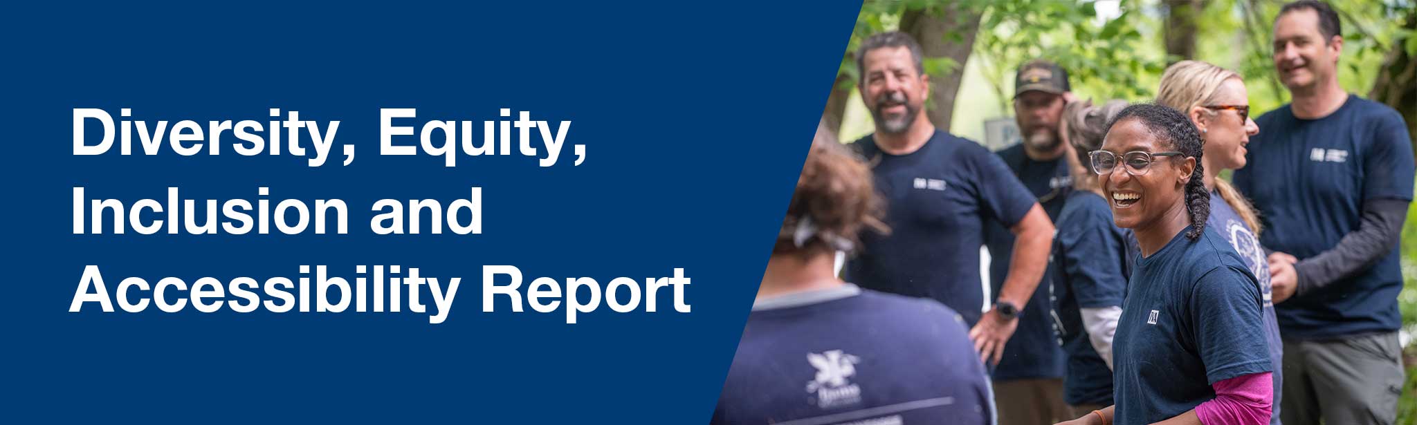 Diversity, Equity, Inclusion and Accessibility Report
