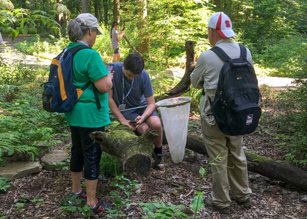 BioBlitz kids net sampling