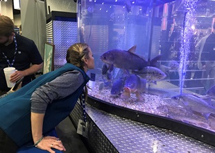 Close encounter with fish in mobile aquarium