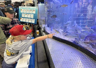 Girl matching card to fish in mobile aquarium