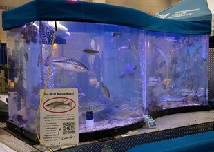 Mobile aquarium setup