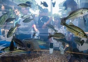 Boone Reopening - Mobile Fish Aquarium