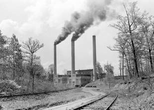 Wilson Steam Plant