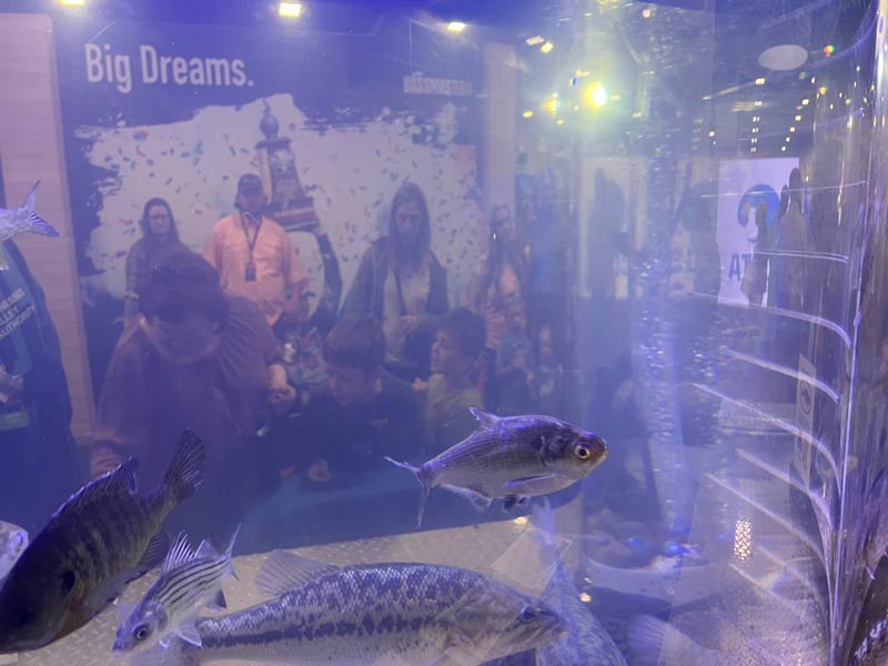 Children interact with the fish on the opposite side of the tank
