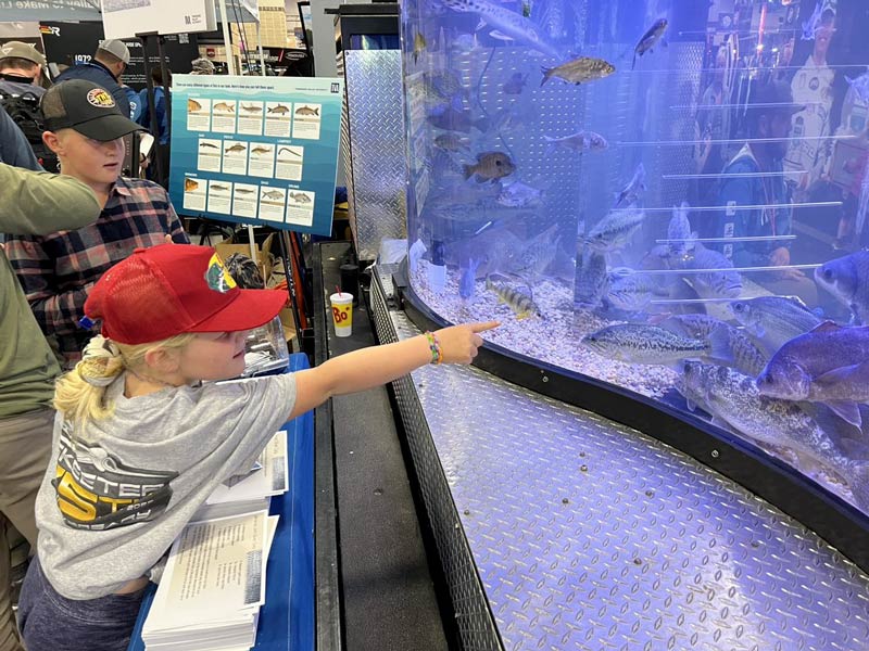 Kid in the expo searches for the fish that matches her card