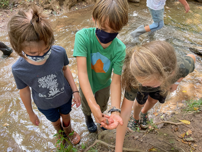 One Tree kids checking stream quality