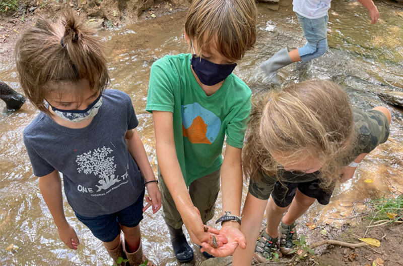 Three kids in a creek doing water monitoring
