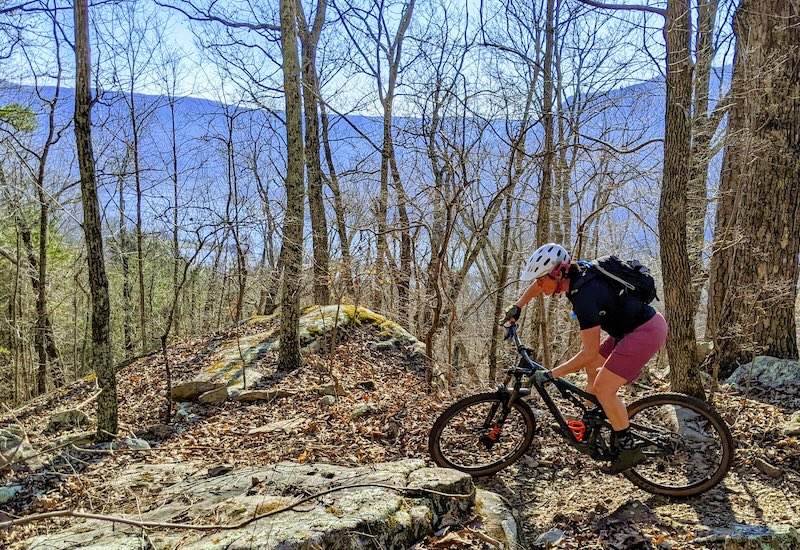 Mountain biker