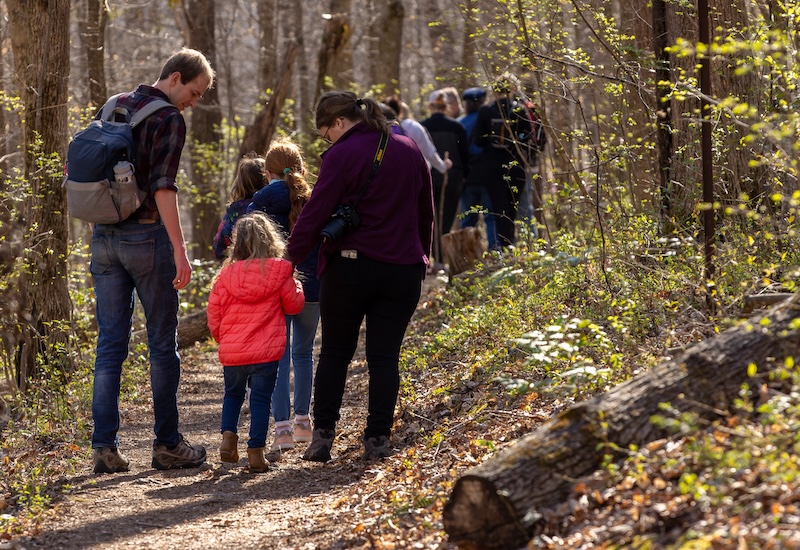 People walking in the forest