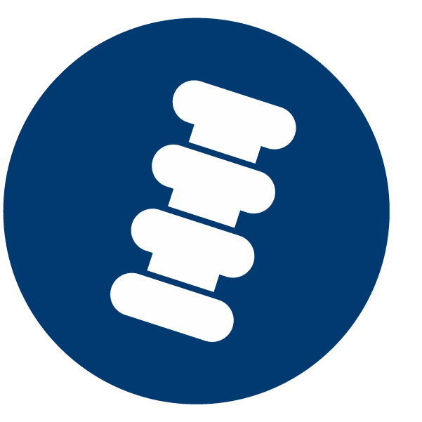 Insulator icon