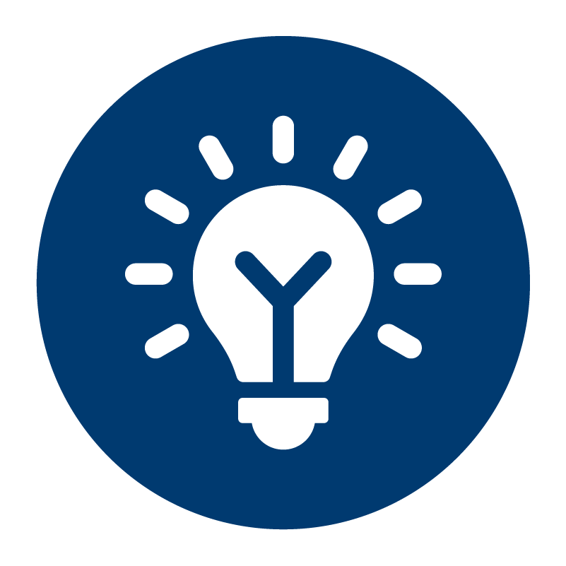 lightbulb icon