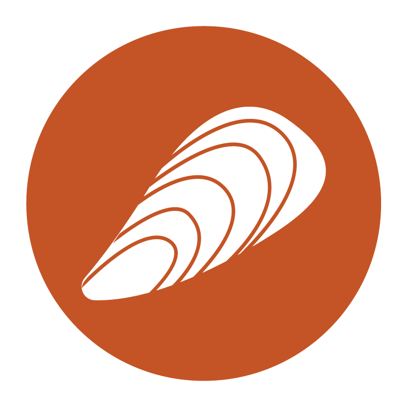 Mussel icon
