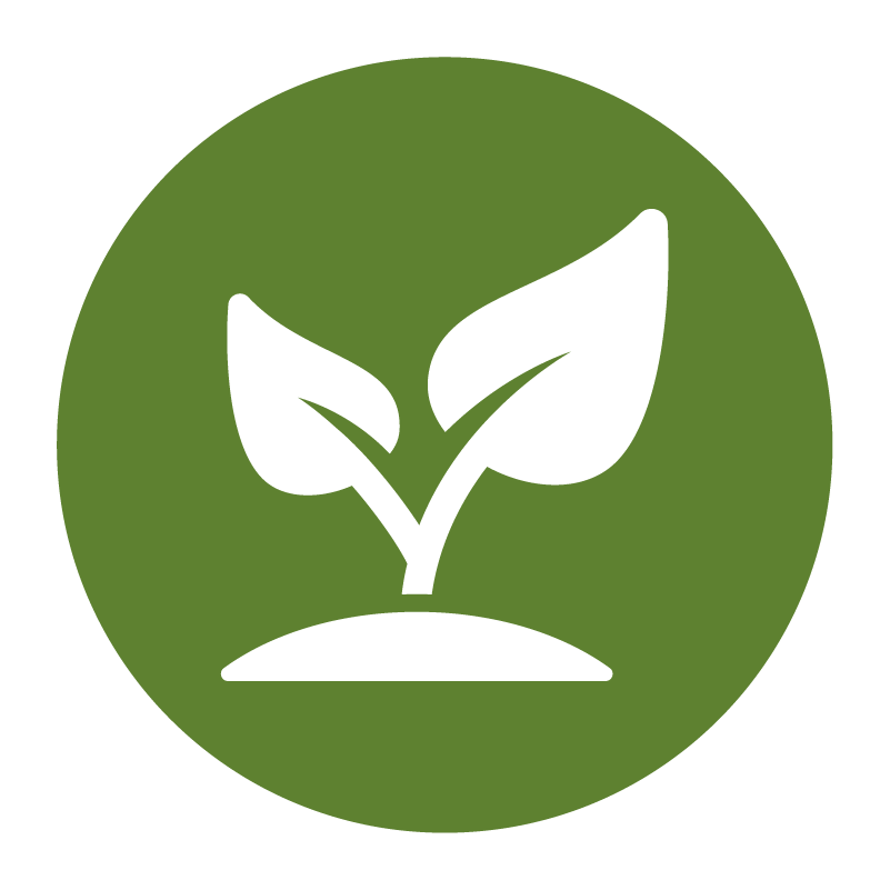 Plant icon