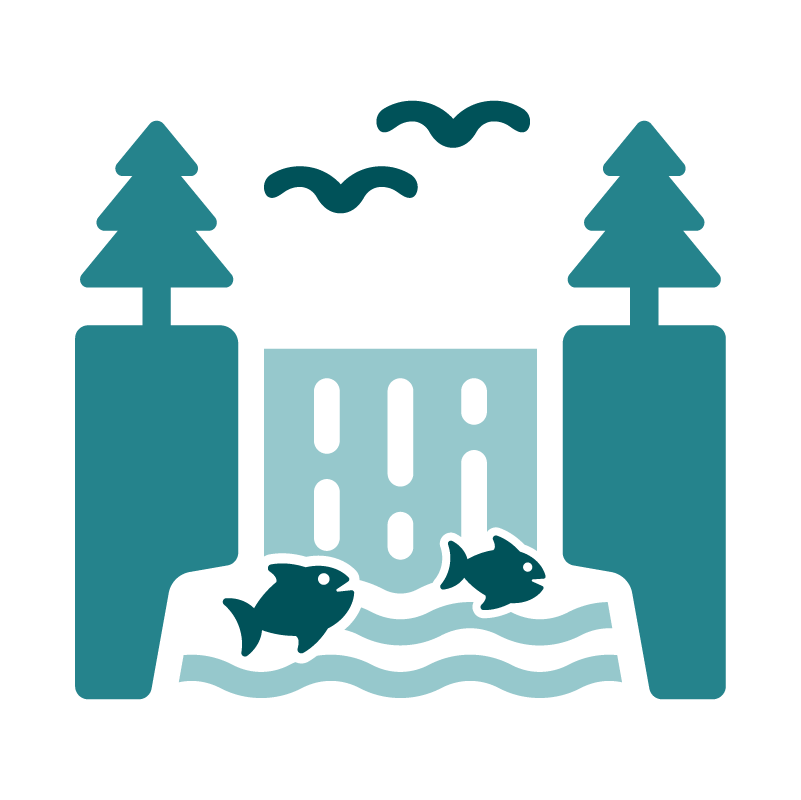 Wildlife home icon