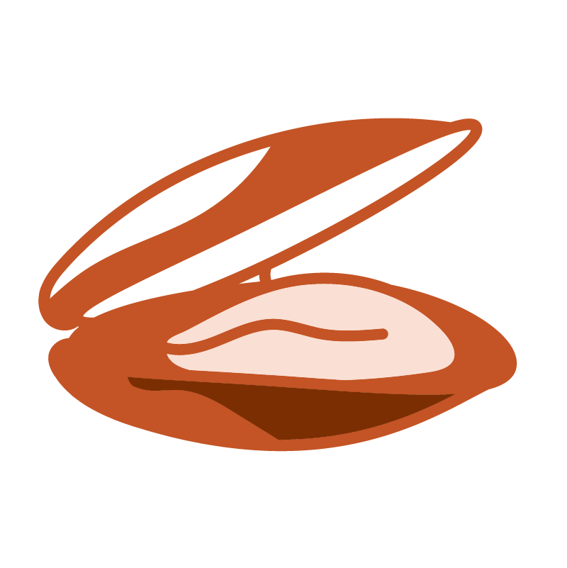 Mussel icon