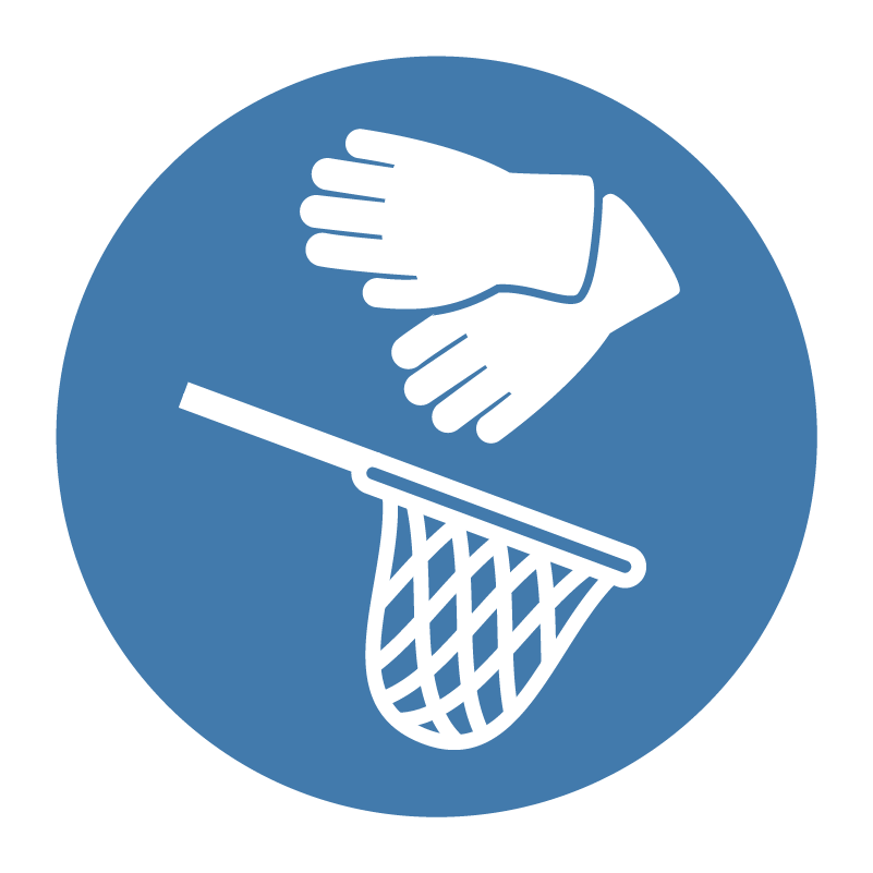 net icon
