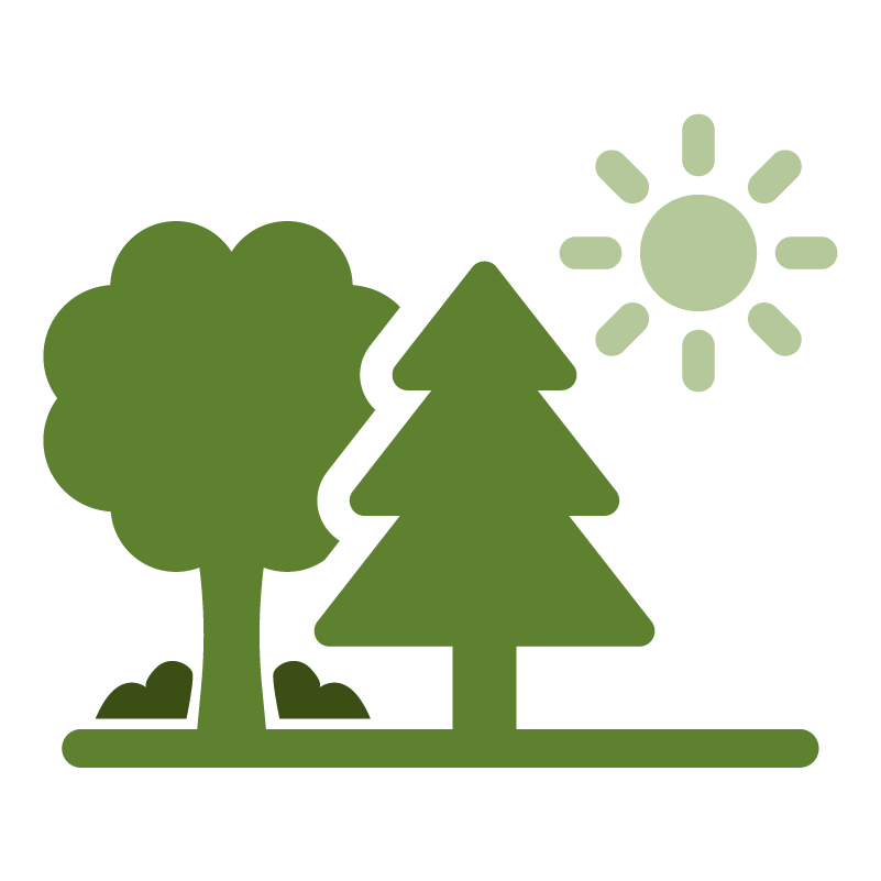 tree icon