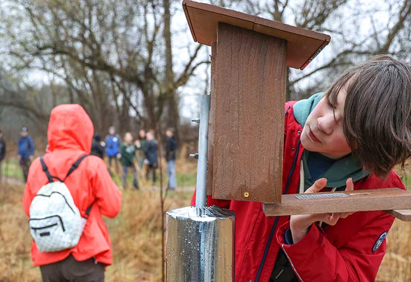 Kids checking nest boxes