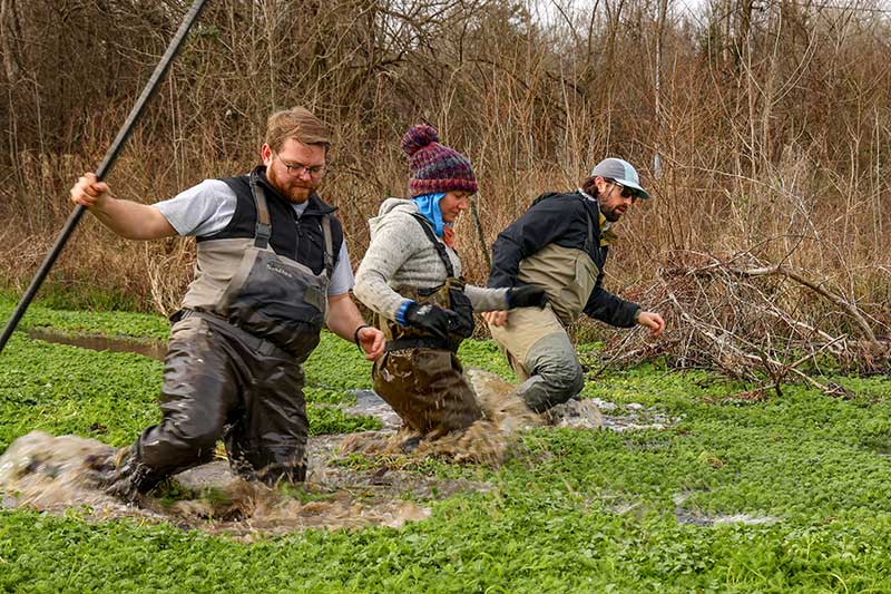 Scientists in river