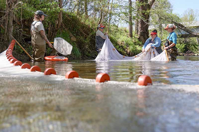 Scientists cleaning water