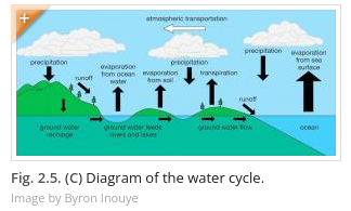 Invasive Species Lesson - Diagram of Water Cycle 