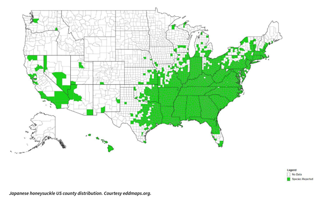 Invasive Species Affecting Ecosystems and Resources