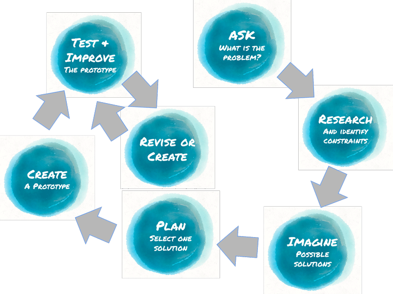 Saving Salamander Lesson Graphics